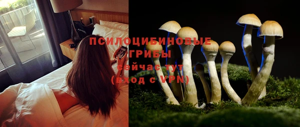 прущий лед Дмитровск