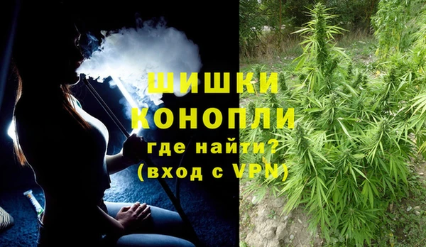 мдпв Дмитриев