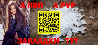 мяу мяу мука Аргун