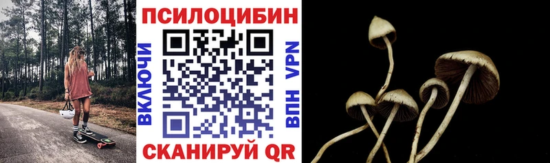 Галлюциногенные грибы мухоморы  цена наркотик  Рузаевка 