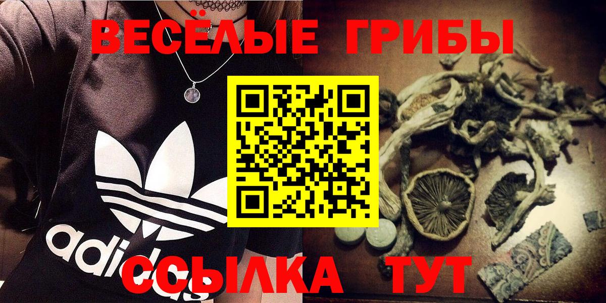 Рузаевка  Галлюциногенные грибы MAGIC MUSHROOMS  Вход с VPN 