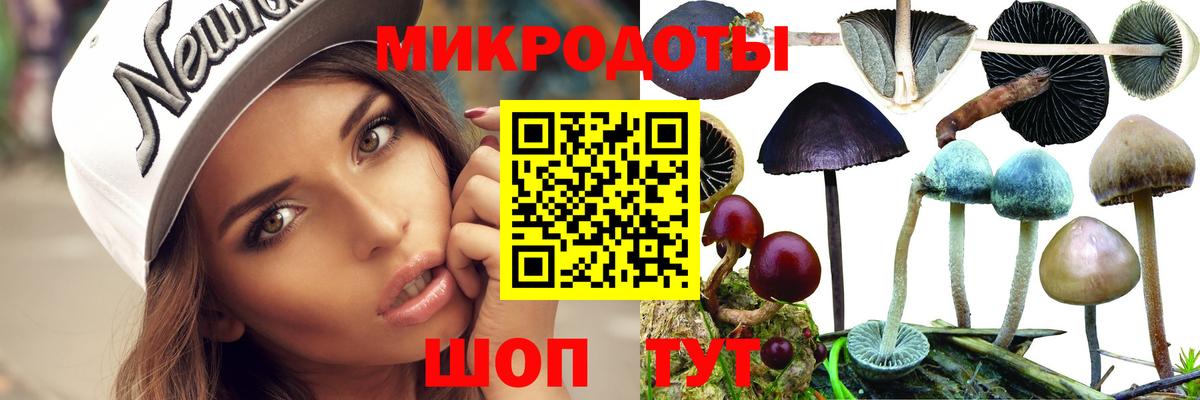 Галлюциногенные грибы прущие грибы Рузаевка